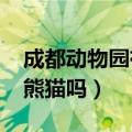 成都动物园有熊猫吗2023年（成都动物园有熊猫吗）