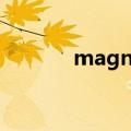 magnum opus（magnum）
