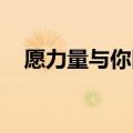 愿力量与你同在 英文（愿力量与你同在）