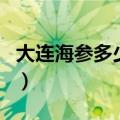大连海参多少钱一斤呢（大连海参多少钱一斤）