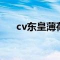 cv东皇薄荷央视主持人（cv东皇薄荷）