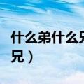什么弟什么兄的四字词语有哪些（什么弟什么兄）