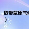 热带草原气候主要分布在哪里（热带草原气候）