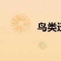 鸟类迁徙路线图（鸟类迁徙）