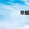 旱魃怎么玩（旱魃怎么打）