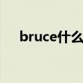 bruce什么意思中文（bruce什么意思）