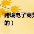 跨境电子商务是做什么的（电子商务是做什么的）