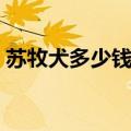 苏牧犬多少钱一只纯种（苏牧犬多少钱一只）