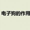 电子狗的作用是什么原因（电子狗什么原理）