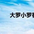 大罗小罗看卡塔尔世界杯（大罗小罗）