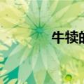 牛犊的意思是（牛犊的意思）