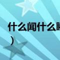 什么闻什么睹四字词语三年级（什么闻什么睹）