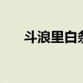 斗浪里白条是谁的绰号（斗浪里白条）