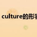 culture的形容词和名词（culture的形容词）
