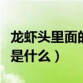 龙虾头里面的黄是什么味道（龙虾头里面的黄是什么）