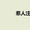 惹人注目的意思是（惹人注目）