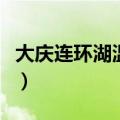 大庆连环湖温泉景区怎么走（大庆连环湖温泉）
