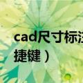 cad尺寸标注快捷键是什么（cad尺寸标注快捷键）