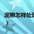 泥鳅怎样处理才干净（泥鳅不能和什么一起吃）