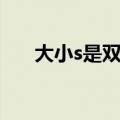 大小s是双包胎吗（大小s是双胞胎吗）
