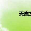 天鹰文学网百科（天鹰文学）