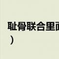 耻骨联合里面是什么器官（耻骨联合处是哪里）