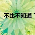 不比不知道 下一句（不比不知道的下一句）