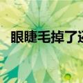 眼睫毛掉了还会重新长出来吗（眼睫毛掉）