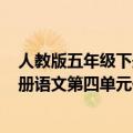 人教版五年级下册语文第四单元作文ppt（人教版五年级下册语文第四单元作文）