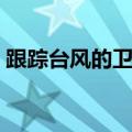 跟踪台风的卫星阅读理解（跟踪台风的卫星）