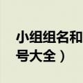 小组组名和口号和logo图案（小组组名和口号大全）