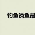 钓鱼诱鱼最快配方（春季钓鱼饵料配方）