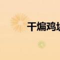 干煸鸡块最正宗的做法（干煸鸡）