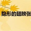 隐形的翅膀张韶涵伴奏（隐形的翅膀张韶涵）