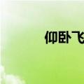 仰卧飞鸟标准动作（仰卧飞鸟）