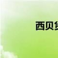 西贝货是什么意思（西贝货）
