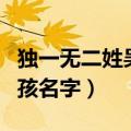 独一无二姓吴男孩名字属龙（独一无二姓吴男孩名字）