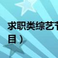 求职类综艺节目工作人员设置（求职类综艺节目）