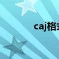 caj格式转换成pdf（caj格式）