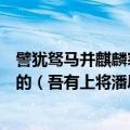 譬犹驽马并麒麟寒鸦配鸾凤耳无异周得吕望汉得张良是谁说的（吾有上将潘凤是什么梗）