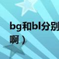 bg和bl分别是什么意思（bg和bl是什么意思啊）