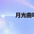 月光曲听后感受（月光曲听后感）