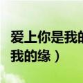 爱上你是我的缘叶凡哪一年发行的（爱上你是我的缘）