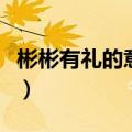 彬彬有礼的意思是什么解释（彬彬有礼的意思）