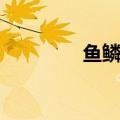 鱼鳞天是什么云（鱼鳞天）