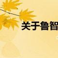 关于鲁智深的故事（鲁智深的故事）