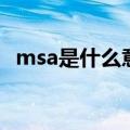 msa是什么意思的缩写（msa是什么意思）
