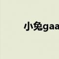 小兔gaara是干嘛的（小兔gaara）