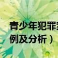 青少年犯罪案例及分析5分钟（青少年犯罪案例及分析）