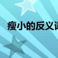 瘦小的反义词强壮对不对（瘦小的反义词）